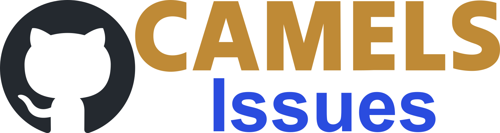 _images/CAMELS_Issues_Logo.png